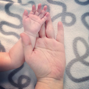 Tuyển chị bảo mẫu, độ tuổi từ 53 tuổi đổ lại. Lương: 11 triệu.