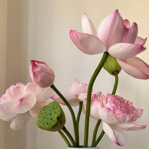 🌻 Gia đình ở Quận 8 cần người chăm bà sau thời gian điều trị,