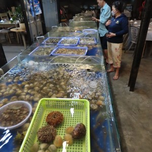 Nhà hàng hải sản ở Cần Giờ vừa khai trương tìm cô tạp vụ làm ở lại