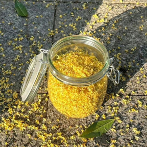 Tìm người giúp việc nhà Quận 4 gần chợ Xóm chiếu - Lương 12 triệu ( bao ăn ở )