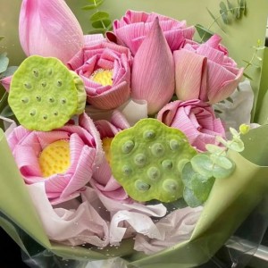 mẹ đơn thân cần chị về nội trợ, dọn dẹp nhà cửa cơm nước ở Quận 2