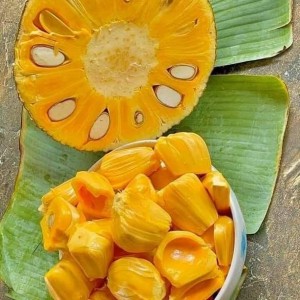 🏠 Tuyển Cô Giúp Việc Ở Lại – Lương 11 triệu ( bao ăn ở ), Làm Lâu Dài 🏠