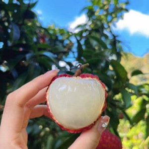 Em cần tìm chị giúp việc nhà đến nhận việc đi làm ngay tại đường Phan Chu Trinh, Quận 1