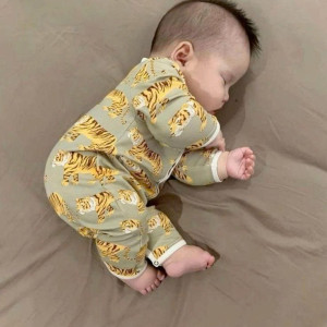 GIA ĐÌNH CHỊ TÂM Ở ĐƯỜNG NGUYỄN SƠN- TÂN PHÚ CẦN CHỊ BẢO MẪU CHO BÉ 7 THÁNG LƯƠNG 12TR