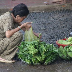 CẦN LIỀN  CHỊ CHĂM BÀ TRONG NGÀY HÔM NAY EM Ở GẦN GIGAMAL THỦ ĐỨC
