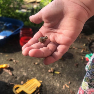 EM CẦN TÌM CHỊ BẢO MẪU CHO CON EM 5 THÁNG GẦN EMART GÒ VẤP LƯƠNG 10 TRIỆU