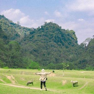 Cần tuyển 1 nam lao động làm ở Lâm Đồng