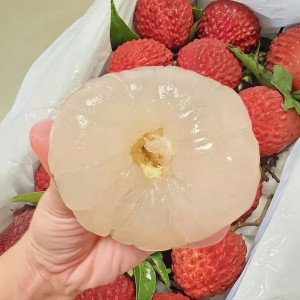 CẦN CÔ GIÚP VIỆC NHÀ GỌN GÀNG, SẠCH SẼ VỀ DỌN DẸP NHÀ CỬA CƠM NƯỚC Ở QUẬN 1