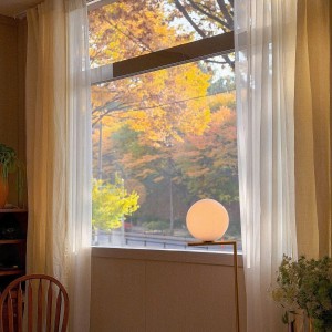 Cần cô giúp việc nhà ở quận 7, ngay Trần Xuân Soạn - lương 10tr bao ăn ở