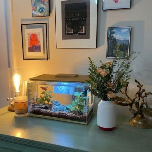 Cần cô dưới 50t ( miền tây ) làm đi về ởchung cư Nhà Bè - lương 8tr