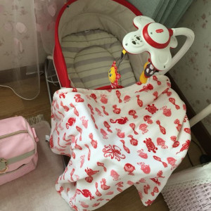 CẦN CÔ BẢO MẪU , LÀM ĂN Ở LẠI QUẬN 1 , LƯƠNG 10 TR.