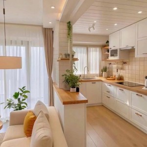 Cần Cô Gvn Biệt Thự 1 Trệt 2 Lầu Ở Bình Thạnh - Lương 10tr