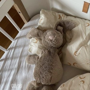 Tuyển cô chăm bé 5 tháng - quận Bình Tân, Lương 13 triệu ( bao ăn ở )