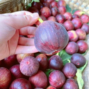 Nhà 3 người lớn muốn tìm chị giúp việc làm ở lại tại Quận 8 ( đường Dương Bá Trạc )