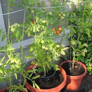 Gia đình em ở đường Lê Văn Linh, Quận 4 cần một cô giúp việc nhà.