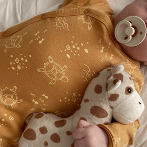 Tuyển Chăm Bé , 7 tháng .Quận Hóc Môn - Lương 12 triệu ( bao ăn ở )