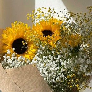 Chị giúp việc nhà Quận 10 gần chợ , Lương 13 triệu ( bao ăn ở )