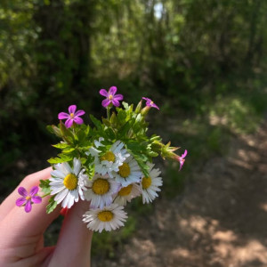 Tuyển dụng gấp giúp việc nhà Quận 6, lương 13 ( bao ăn ở)