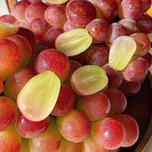 Chị cần người từ 40-50 tuổi, người Bắc, làm ở Gò vấp .  Công việc: Giúp việc nhà