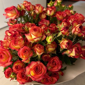 Nhà em cần gấp chị giúp việc nhà Quận 7, lương 12 triệu ( bao ăn ở )