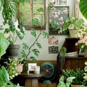 Cần chị giúp việc nhà , nhà ở quận 5