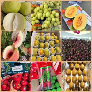 Nhà biệt thự trong khu dân cư Phú Mỹ Hưng – Quận 7 cần 1 cô giúp việc ở lại