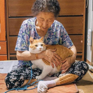 CẦN CHỊ TÍNH TÌNH VUI VẺ VỀ CHĂM BÀ 90 TUỔI Ở TÂN BÌNH LƯƠNG 9 TRIỆU