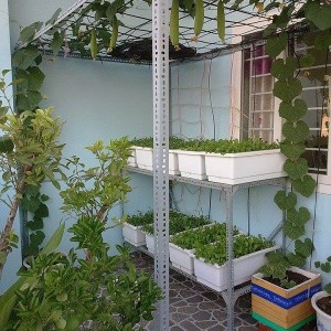 Gia đình mình cần tìm một cô giúp việc ăn ở lại - quận 3- lương 12tr