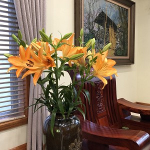 Em cần cô giúp việc nhà phụ chăm bé 1 tuổi ở Bến Vân Đồn , quận 4