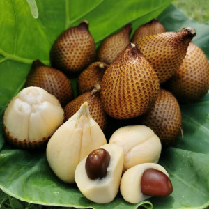 Nhà ở đặng đại độ quận 7, cần chị giúp việc nhà (bao ăn ở ).