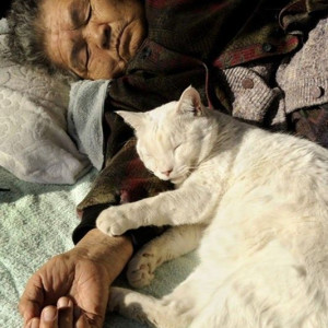 EM CẦN GẤP 1 CHỊ CHĂM SÓC BÀ Ở PHÚ NHUẬN