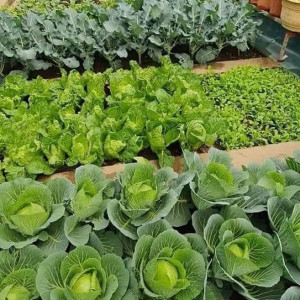 EM Ở QUẬN 10 CÓ 2 VỢ CHỒNG VỚI BÉ ĐI LÀM ĐI HỌC CẢ NGÀY CẦN CHỊ Ở NHÀ GIÚP VIỆC NHÀ