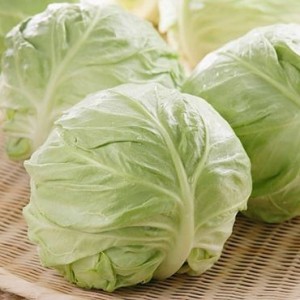 EM Ở GẦN CHỢ BẾN THÀNH QUẬN 1 CẦN CHỊ CHĂM BÀ LƯƠNG 11 TRIỆU