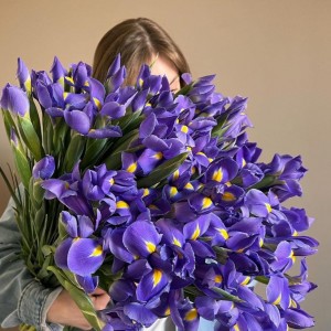 Em cần tìm gấp cô giúp việc nhà ở Hóc Môn – Lương 13 triệu ( bao ăn ở )