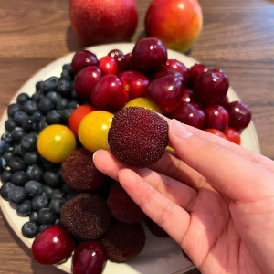 Tuyển gấp giúp việc nhà Quận 7 lương 13 triệu ( bao ăn ở )