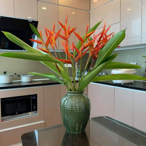 Cần tuyển 1 cô giúp việc gia đình , ở quận 9 .Ưu tiên . miền tây , miền nam