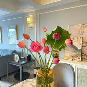 Tuyển gấp! Cần chị giúp việc nhà Quận Gò Vấp gần Khu dân cư Cityland - Lương 13 triệu ( bao ăn ở )