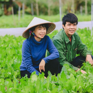 BIỆT THỰ SÂN VƯỜN Ở GÒ DẦU- TÂY NINH CẦN TUYỂN 1 CẶP VỢ CHỒNG VỀ LÀM LƯƠNG 15TR BAO ĂN Ở