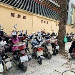 📢 TUYỂN NAM GIỮ XE – LÀM VIỆC TẠI QUẬN 1 - Lương khởi điểm 8tr
