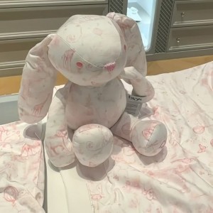 Tuyển Chị Chăm Bé  ở quận Phú Nhuận, Lương 13 triệu ( bao ăn ở )