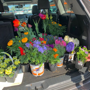 Cần 1 cô giúp việc nhà đi về Khu villa thủ thiêm quận 2