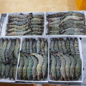 Em tìm cô giúp việc nhà thật thà, siêng năng cho nhà ở đường Nguyễn Thông, Quận 3 ạ.