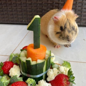 Cần Cô Giúp Việc Nhà Đường Lê Văn Việt, Quận 9 - Làm Ở Lại Được