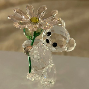 Tha thiết tìm chị biết nội trợ, dọn dẹp nhà cửa và nấu ăn.