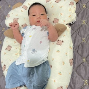 Cần người chăm bé ở đường Nguyễn Thái Học, Quận 1, bé 5 tháng.