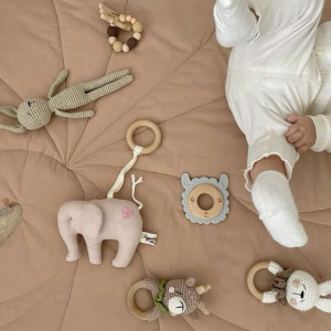 Nhà ở chung cư quận 11 cần chị chăm bé 3 tháng tuổi