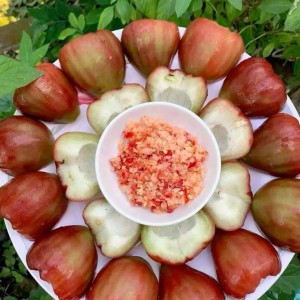 VỢ CHỒNG EM Ở QUẬN 10 ĐANG CẦN CHỊ NỘI TRỢ GIÚP VIỆC LƯƠNG 11 TRIỆU + PHỤ CẤP