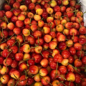 Tuyển chị chăm bé Quận 12 lương cao, bao ăn ở