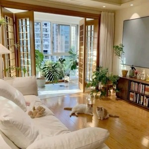 Cần cô giúp việc nhà ở Cao Lỗ, quận 8 - lương 11tr làm ăn ở lại được