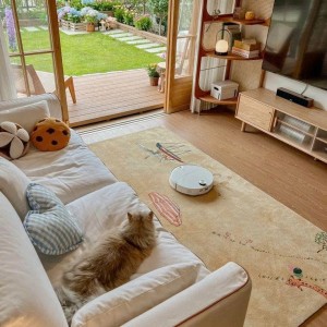 Lương 11 triệu - cần cô giúp việc nhà - Tân Phú